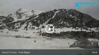 Grandvalira - El Tarter - Pi de Migdia