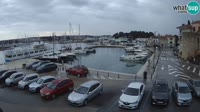 Novigrad - Porporela Marina