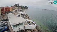 Novigrad - Porporela