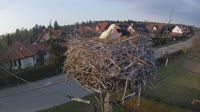 Miniaturansicht