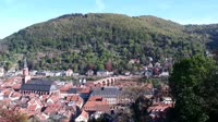Heidelberg - Panoramic view