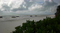 Zanzibar - Plage de Jambiani