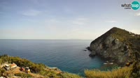 Ponza - Cala Cecata