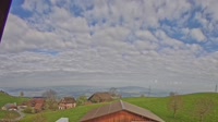 Root - Panoramic view