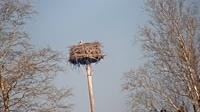 Grabenstätt - Winkl - Storks