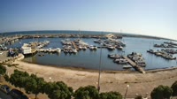 Mola di Bari - Harbour