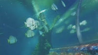 Qawra - Acquario Nazionale di Malta
