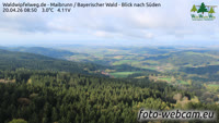 Maibrunn - Waldwipfelweg - Foresta Bavarese