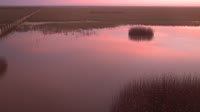 Parco nazionale di Doñana - Caño de Rosalimán
