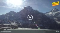 Grindelwald - First