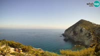 Ponza - Cala Cecata