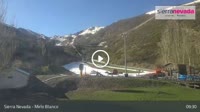 Sierra Nevada - Mirlo Blanco
