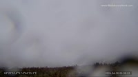 Lofoty - Austvågøy - Black Aurora Nook