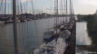 Fiumicino - Tevere - Nautilus Marina