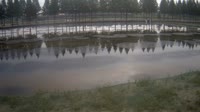 Jurong - Farmland