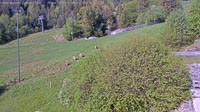Zell am See - Hotel Berner