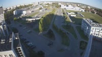 Miniatura
