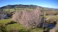 Juszczyna - ul. Widokowa