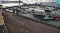 Fenit - Marina