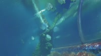 Qawra - Acquario Nazionale di Malta