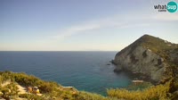 Ponza - Cala Cecata