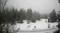 Focide - Panourgias - Monte Giona
