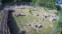 Aquileia - Decumano Aratria Galla