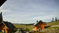 Oberharz am Brocken - Tanne