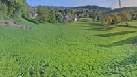 Feldkirchen-Westerham - Vagen - Wallner Alm