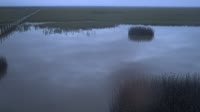 Parco nazionale di Doñana - Caño de Rosalimán