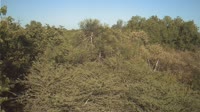 Riserva speciale di Beza Mahafaly
