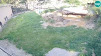 Liubliana - ZOO