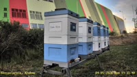 Bienenhaus