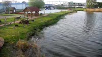 Ekomarina