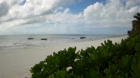 Zanzibaras - Jambiani paplūdimys
