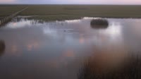 Doñana National Park - Caño de Rosalimán