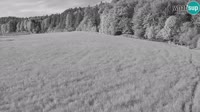 Medvodės - Bonovec