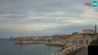 Piran - Uostas