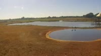 Voi - Park Narodowy Tsavo