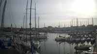 Fiumicino - Dock