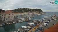 Piranas - Port Mandrač