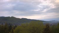 Bad Tabarz - Burgholz