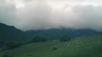 Cantalupo Ligure - Panoramic view