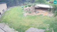 Ljubljana - ZOO