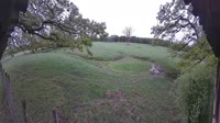 Hofgeismar - Sababurg Zoo - Elch-Lodge