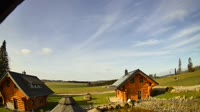Oberharz am Brocken - Tanne