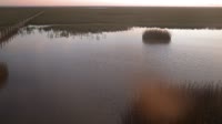 Doñana National Park - Caño de Rosalimán