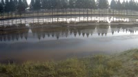 Jurong - Farmland