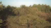 Beza Mahafaly Special Reserve