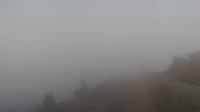 Val di Sole - Folgarida